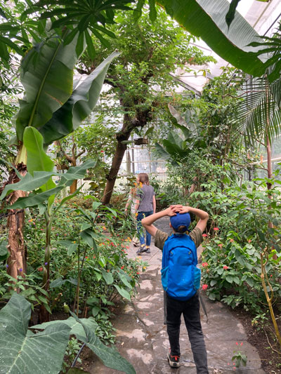 Kinder im Botanischen Garten Chemnitz zwischen Palmen und Gewächsen.