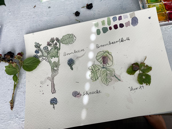 Von den Kindern lernen: Theo hat Brombeeren gezeichnet. Auch eine Schnecke, die wir zufällig zwischen den Beeren fanden, wurde gezeichnet.