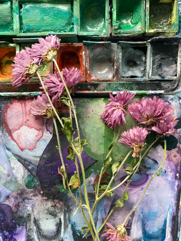 Getrocknete Asternblüten auf einem Aquarellkasten. Schöne Farben!