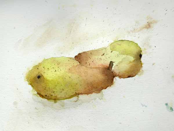 Birnen Stillleben gezeichnet von Selma, 9 Jahre.